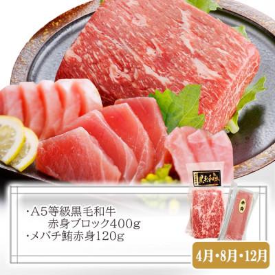 ふるさと納税 枕崎市 定期便2回配送　黒毛和牛・黒豚　赤身セット　CC0-0013 |  | 02