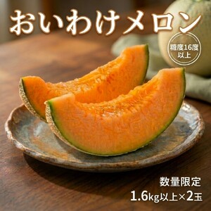 ＜数量限定＞ おいわけメロン 糖度16度以上　1.6kg以上×2玉入 メロン 赤肉メロン おいわけメロン めろん フルーツ 果物 デザート  糖度 国産 北海道 安平町