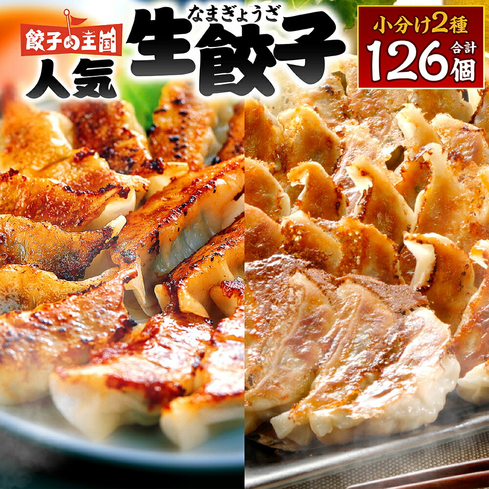 【ふるさと納税】 餃子の王国 人気 生餃子 126個 2種類 黒豚生餃子30個/工場直売生餃子96個 【選べる発送月】 餃子 セット 食べ比べ 詰合せ ギョウザ ぎょうざ 中華 ショウガ おかず 惣菜 国産 八代市東陽町の生姜を使用 熊本県 九州 冷凍 送料無料