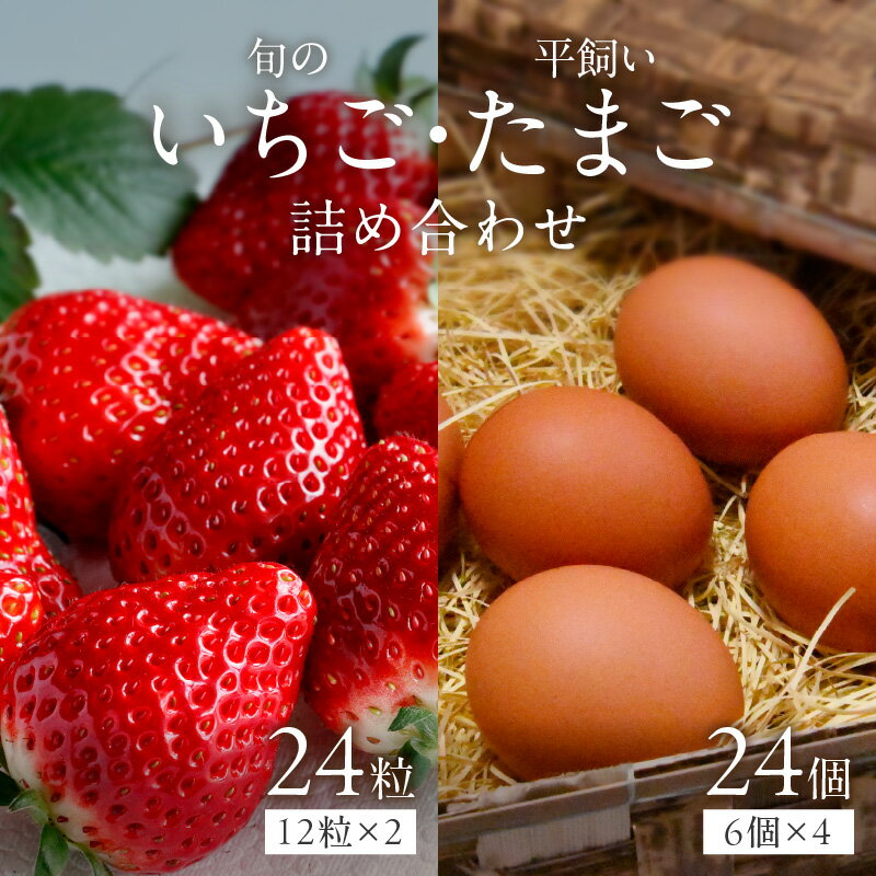 【ふるさと納税】【2026年12月下旬～2027年5月発送予定】泉南市産 旬のいちごと平飼いたまごの詰め合わせ【配送不可地域：北海道・沖縄・離島】