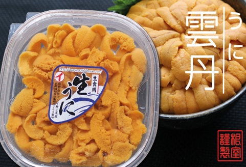 ＜12月10日決済分まで年内配送＞エゾバフンウニ塩水パック50～60g×3P D-53040