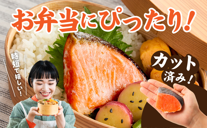 鮭の切り身 500g（11～13切れ）【お弁当 訳アリ 不揃い 切身 サケ さけ しゃけ シャケ 魚介 海鮮 魚 さかな】 010B1932