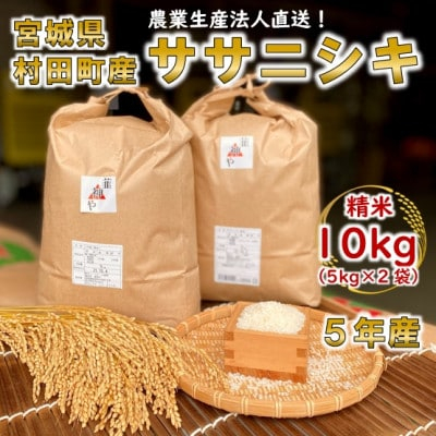 
令和5年宮城県産 ササニシキ 精米10kg(5kg×2袋)＜村田町産＞【1259870】
