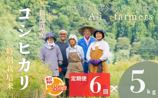 【令和8年産】先行予約 米 コシヒカリ 5kg  『6回定期便』 新潟県 糸魚川市産 減農薬 減化学肥料米 BL米 安心 安全 美味しいお米 新潟米 今井産 アイファーマーズ 今摺り米 精米 白米【こしひかり おにぎり お弁当 におすすめ お米 おこめ コメ ご飯 ライス ふるさと納税米 ブランド米 令和8年産 2026年 5キロ × 6回 】