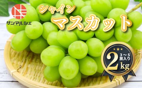 シャインマスカット 約2kg ( 3～5 房 ) 青秀 以上 冷蔵 愛媛県産 松山 伊台
