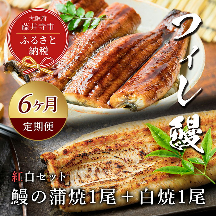 【ふるさと納税】No.287 【鰻セレブ】鰻の蒲焼1尾×白焼1尾（6カ月定期便） ／ 美陵鰻 みささぎうなぎ フィレ鰻 ブランドうなぎ ウナギ 送料無料 大阪府