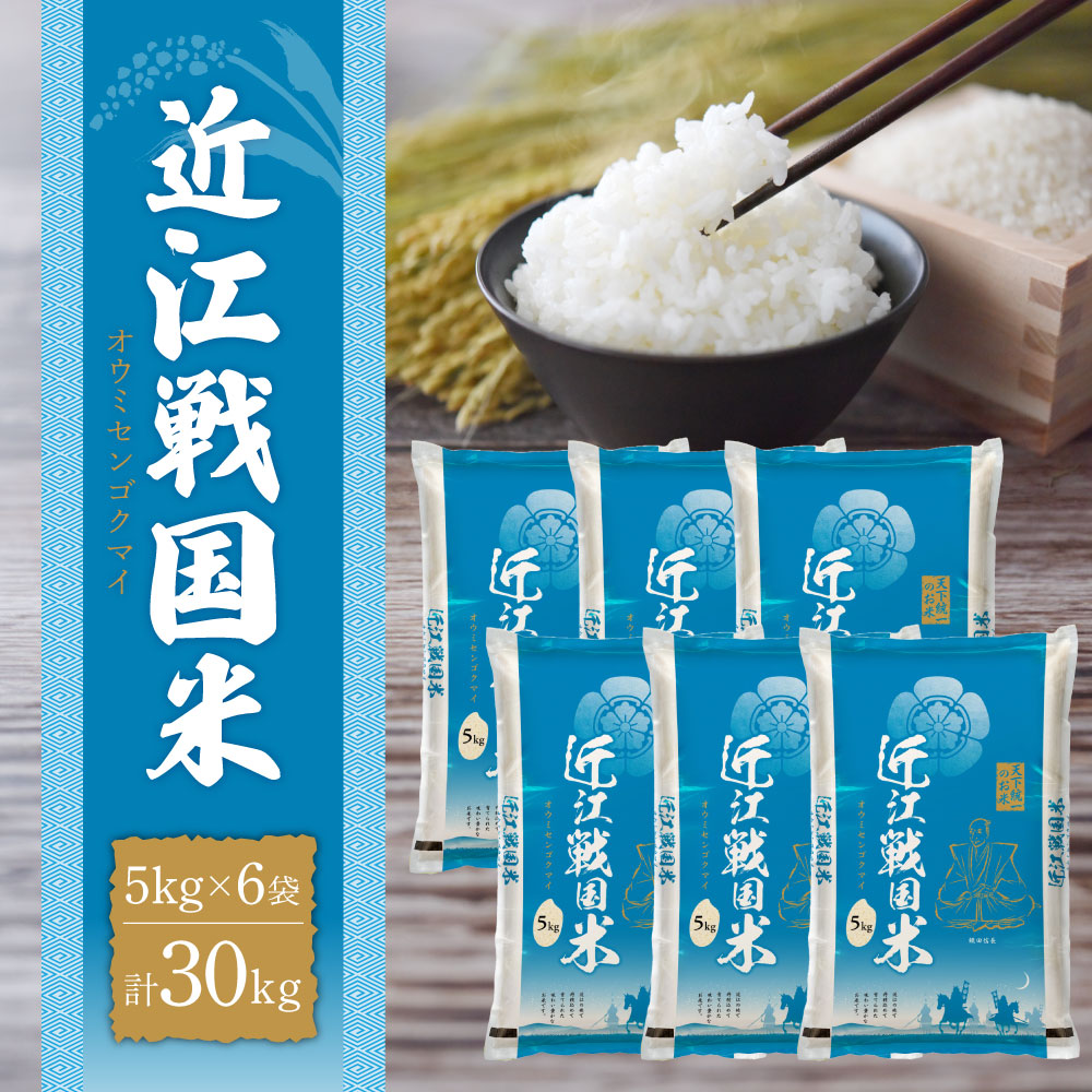 滋賀県産 近江戦国米 30kg 5kg×6袋 中川吉兵衛商店 滋賀県 東近江市 H-D04 米 ごはん 大容量 ブランド米 ブレンド米 精米