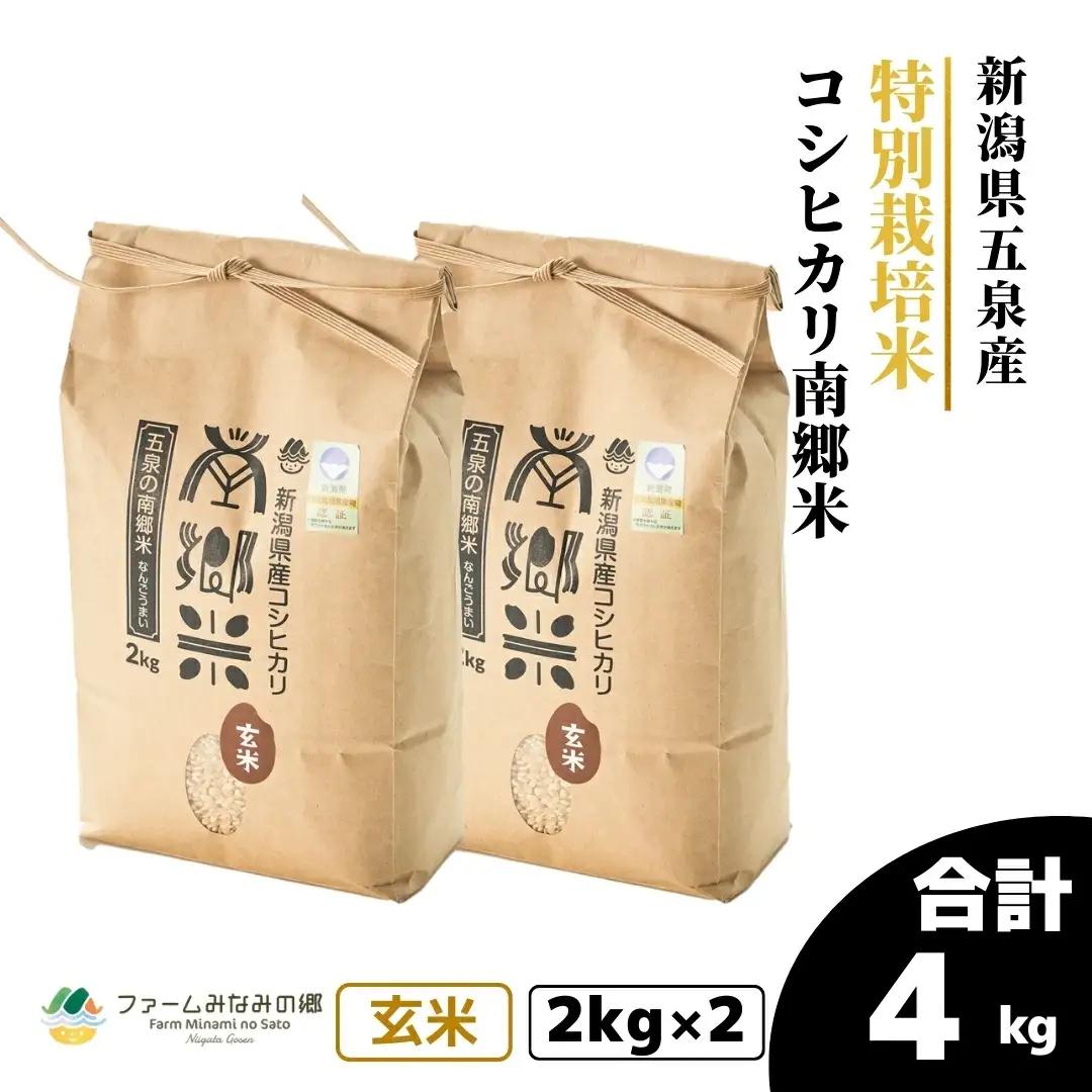 【先行予約】令和8年産 新米 コシヒカリ 玄米 南郷米 4kg(2kg×2袋) 特別栽培米【10月上旬発送開始】 | 新潟県産 米 五泉市