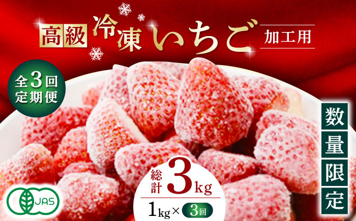
            【3回定期便】【数量限定】高級 冷凍  いちご 加工用 約1kg（約500g×2袋）【伊藤農園】 イチゴ いちご 苺 熊本県 特産品 オーガニック  [ZBB015]
          