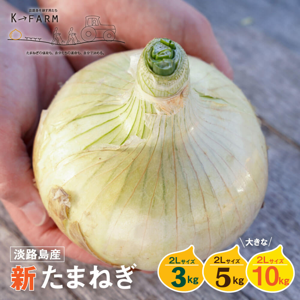 【ふるさと納税】【新たまねぎ】淡路島たまねぎ 大きな2Lサイズ 3kg・5kg・10kg【発送時期：2026年3月中旬～5月頃】 玉ねぎ たまねぎ 大玉 国産 野菜 サラダ用 みずみずしい 甘みたっぷり 産地直送 新鮮