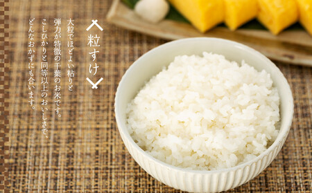 H04-B02 粒すけ（玄米30kg）令和7年産