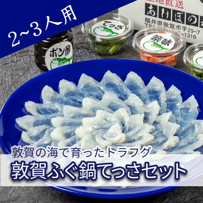 フグ 敦賀ふぐ鍋てっさ セット（2～3人前）【冷凍 海鮮 てっちり てっさ 刺身 トラフグ ふぐ 河豚 鍋 なべ】 [041-c007]【敦賀市ふるさと納税】