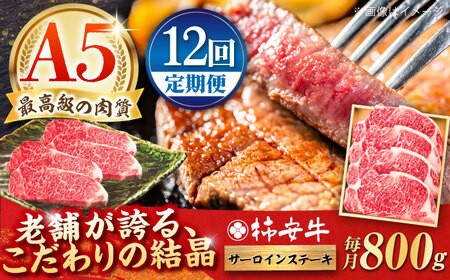 【12回定期便】サーロインステーキ 800g AMBW029 サーロインステーキ定期便 サーロインステーキ定期便 サーロインステーキ定期便 サーロインステーキ定期便 サーロインステーキ定期便