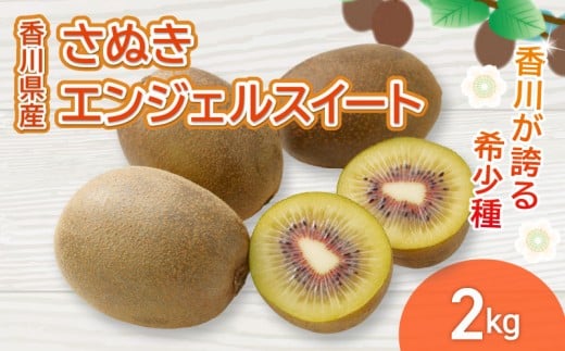 さぬきエンジェルスイート 選べる 約2kg 先行予約 キウイ 果物 フルーツ 香川県 丸亀市