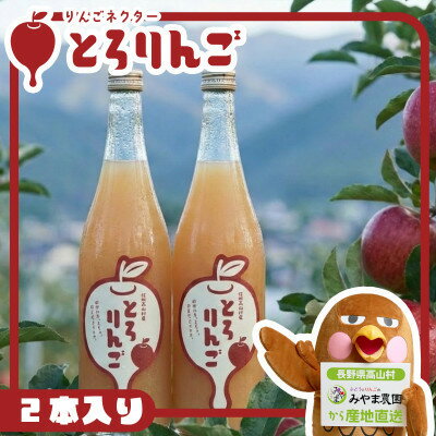 【ふるさと納税】りんごジュースネクター「とろりんご」720ml×2本【1717841】