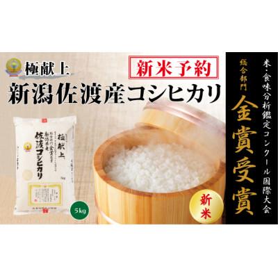 ふるさと納税 佐渡市 【令和8年産 新米 先行予約】佐渡産コシヒカリ＜精米＞ 5kg　食味鑑定コンクール金賞 お米　