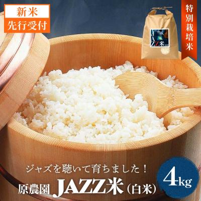 ふるさと納税 玖珠町 【令和8年産米先行受付】原農園 JAZZ米 白米 4kg ひのひかり 米 お米