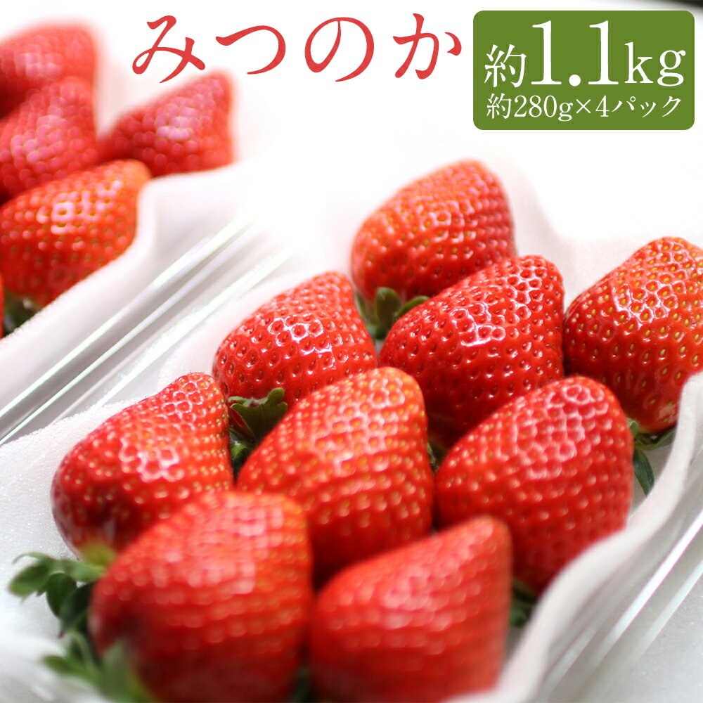 【ふるさと納税】希少な地元産いちご みつのか 合計約1.1kg 約280g×4パック いちご 果物 フルーツ 苺 福岡県産 九州産 送料無料 【2025年12月下旬～2026年3月下旬に順次発送予定】