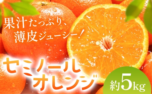 オレンジ セミノールオレンジ 約5kg 株式会社魚鶴商店《5月上旬-5月下旬頃出荷予定》 和歌山県 日高川町 柑橘 フルーツ