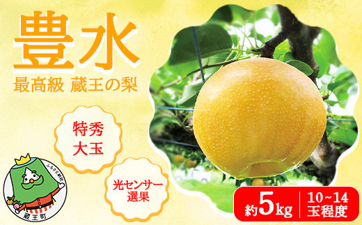 
最高級 蔵王の梨 豊水 約5kg　特秀・大玉　【04301-0716】
