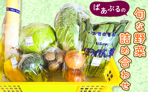 ぱあぷるの旬な野菜詰め合わせ【配送不可地域：離島】【1696633】