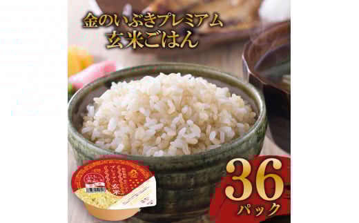 玄米ごはんパック 120g 36個 玄米 米 お米 ごはん ご飯 こめ パックライス パックご飯 パックごはん ご飯パック ごはんパック パック ライス 備蓄 保存 非常 防災 電子 レンジ 温めるだけ レンチン 簡単 健康 ダイエット 美容 ヘルシー 36 36食 レトルト インスタント おいしい 人気 おすすめ 金のいぶき 大阪府 松原市