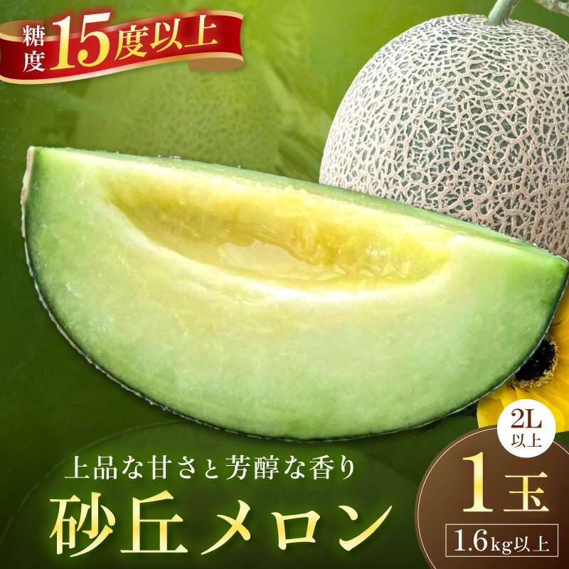 【ふるさと納税】大玉2L【先行予約】京丹後・俵野産 砂丘メロン 2L以上 1玉（2027年7月下旬～発送）国産 ギフト フルーツ くだもの 果物 ふるさと納税 先行予約 果物 めろん 贈り物 ふるさと納税 メロン 青肉 ふるさと納税 先行予約 ふるさと 納税 フルーツ くだもの