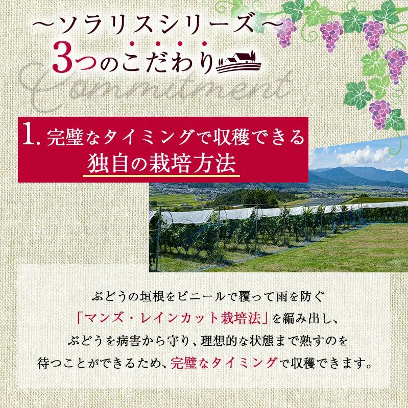 ワイン ソラリス ユヴェンタ 赤 ワイン