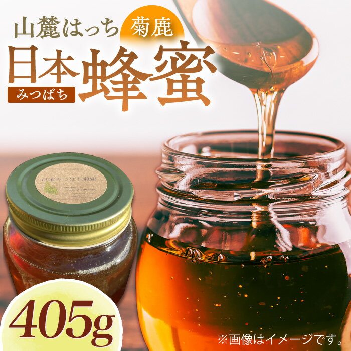 【ふるさと納税】日本みつばち菊鹿約405g【山麓はっち】[ZBM010] 蜂蜜 はちみつ ハチミツ 熊本県 特産品