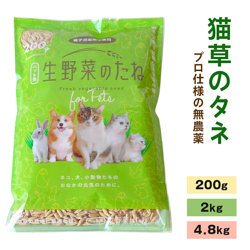 【ふるさと納税】プロ仕様の無農薬 猫草のタネ (選べる容量：200g／2kg／4.8kg)｜キャットニップ 大容量 キャットニップ まとめ買い 多頭飼い キャットニップ キャットニップ 鉢植え [1212-1215]