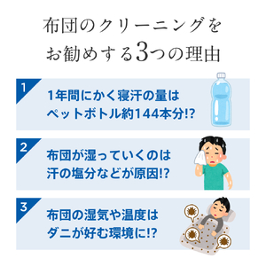 【最大1年間保管付！】羽毛布団丸洗い宅配クリーニング(2点)