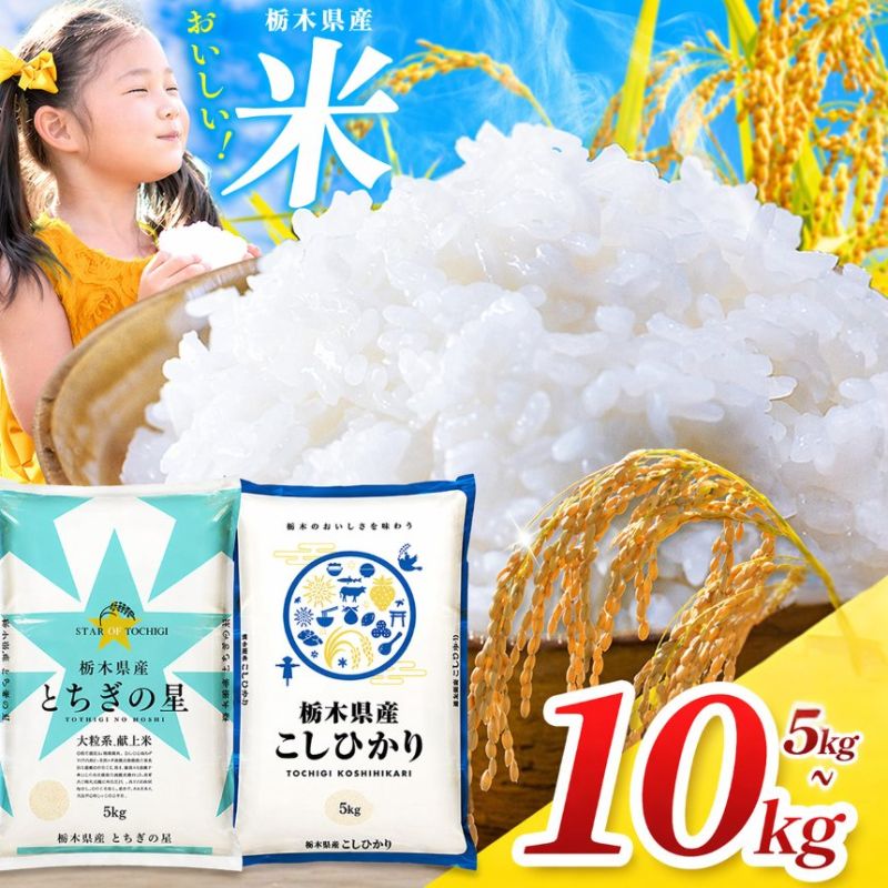 【ふるさと納税】＼最短翌日配送／米 お米 コシヒカリ とちぎの星 選べる 5kg 10kg 最短2営業日発送 送料無料 | こしひかり 栃木の星 白米 精米 令和7年産 訳あり じゃない 保存食 飯 ライス 栃木県 真岡市