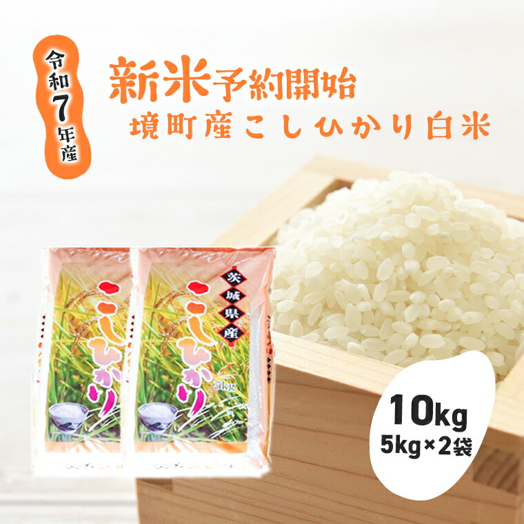 【ふるさと納税】【令和7年産】境町のこだわり白米「コシヒカリ」10kg(5kg×2袋) | 米 2025年産 茨城県産
