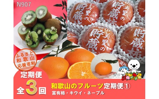 
                  N907 【全3回定期便】和歌山のフルーツ定期便①（富有柿・キウイ・ネーブル）
                