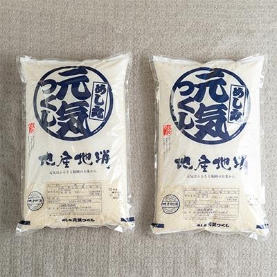 ふるさと納税 太宰府市 【太宰府】果物屋さんが選んだ米「元気つくし」10kg