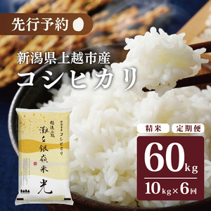 令和7年産 先行予約 新潟県上越市名立区産 コシヒカリ 棚田米 「灘立銀嶺米 光」  10kg 6か月定期便 上越市 精米 米 コメ ブランド米