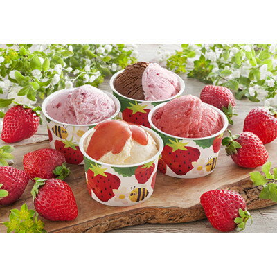 【ふるさと納税】【毎月定期便】トッピングアイス、チョコアイス、ブランドアイス、いちごアイス　おすすめ4品全4回【配送不可地域：離島】【4075416】