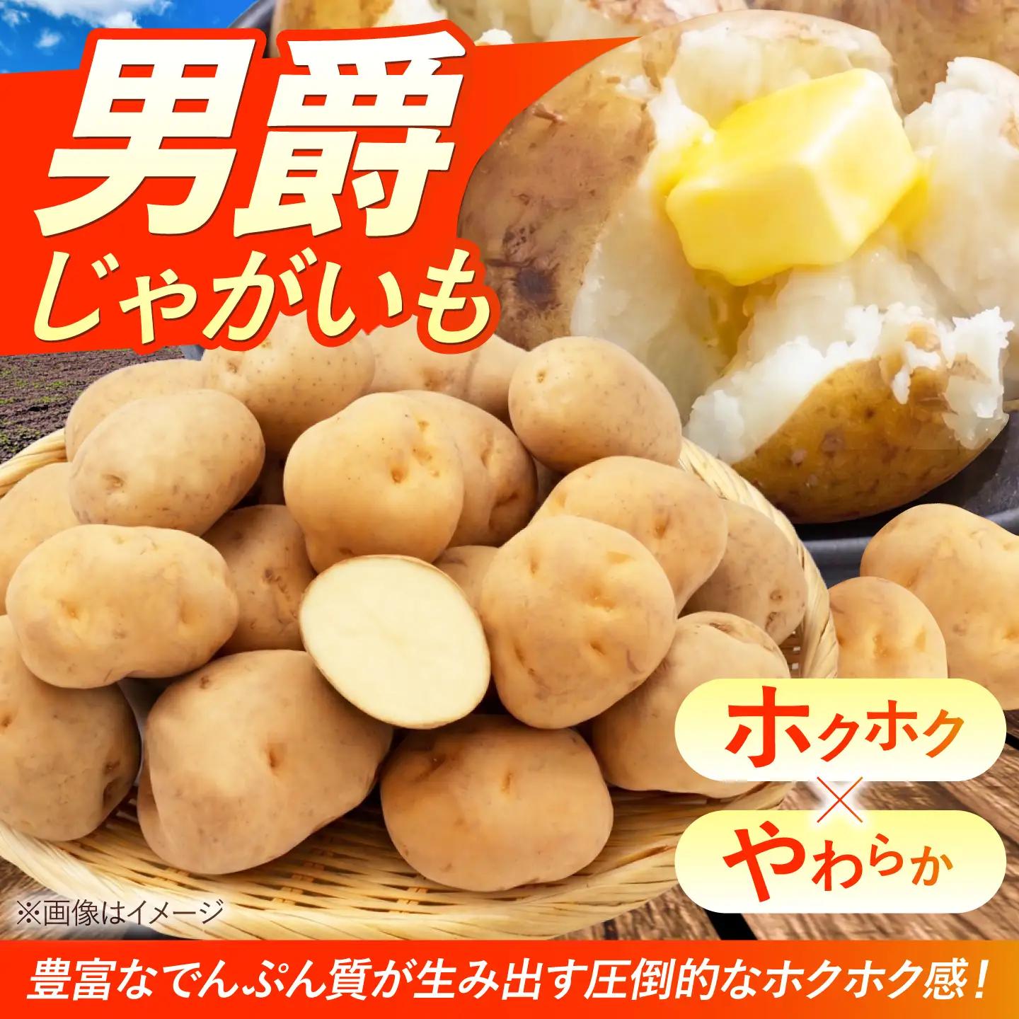 じゃがいも 男爵芋 5kg | じゃがいも ジャガイモ 男爵芋 野菜 季節の野菜 北海道 産地直送 先行予約 | 株式会社Aコープようてい[BPAT001]