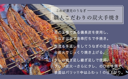 炭火手焼き 愛知県三河一色産　うなぎ蒲焼き　特大　2尾（1尾あたり186g以上）・U037