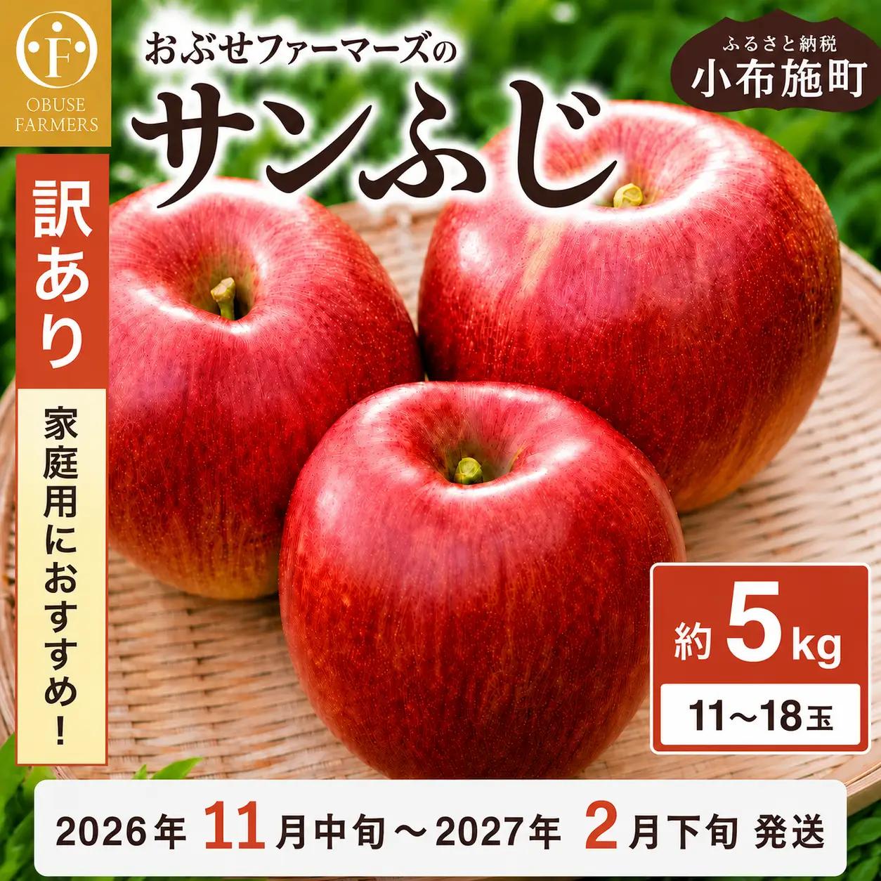 【訳あり】先行受付 サンふじ 約5kg 11～18玉［おぶせファーマーズ］  不揃い 規格外 家庭用 りんご 林檎 リンゴ 果物 フルーツ ふじ 長野 信州 数量限定 令和8年産 【2026年11月中
