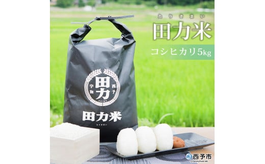 令和7年産 田力米（コシヒカリ）5kg