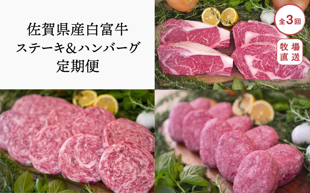 
            【定期便セット】全3回 佐賀県産白富牛のステーキ＆ハンバーグセット/ ミルフィーユロールステーキ10個/ハンバーグ10個/サーロインステーキ(200g×3枚) TOMMY BEEF
          