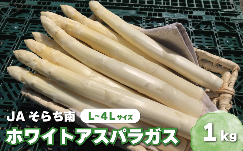 【先行予約】春一番！JAそらち南の味覚「ホワイトアスパラガス」L～4L　1kg前後