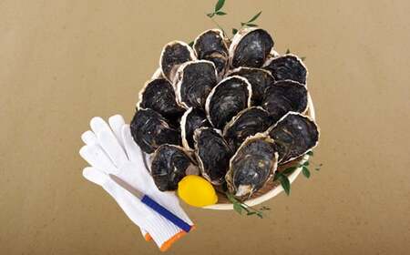 九十九島かき本舗岩がきB