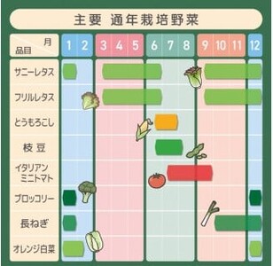 長ネギ 約4.5kg （約10～12本） （泥つき） | ねぎ ネギ 長ネギ 長ねぎ 【農薬（化学肥料）：栽培期間中不使用】 国産 新鮮 詰め合わせ 産地直送 朝採れ 栄養たっぷり 安心野菜 旬 鈴木