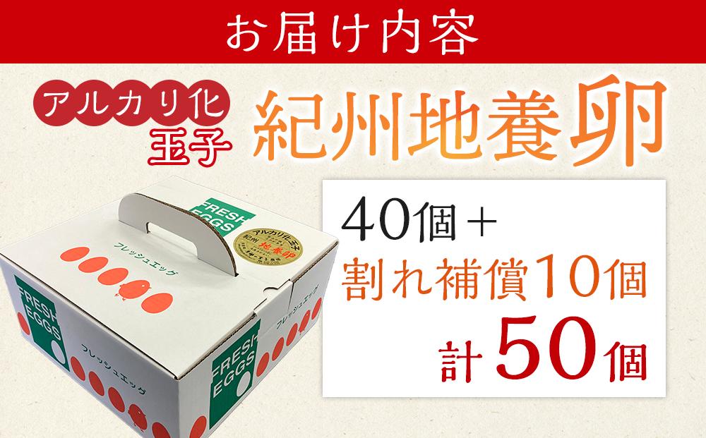 アルカリ化 玉子 紀州地養卵 合計 50個入 (40個＋割れ補償分10個）卵 たまご 玉子 タマゴ 鶏卵 まとめ買い オムレツ 卵かけご飯 朝食 業務用