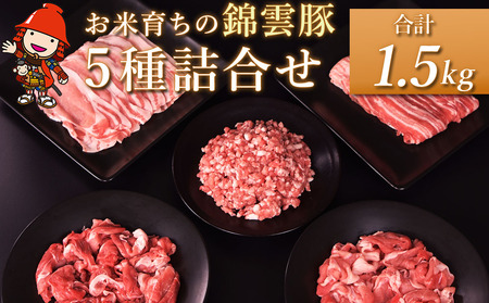 ボリューム満点！錦雲豚ブランド肉 1.5㎏ 便利な小分け 豚肉 すき焼き ステーキ 焼肉 焼き肉 しゃぶしゃぶ 大分県産 中津市 