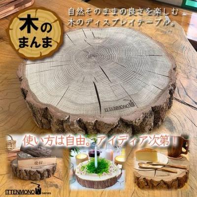 ふるさと納税 伊那市 木のまんま　高さ5センチ×直径20-30センチ 重量約2kg　丸太の輪切り