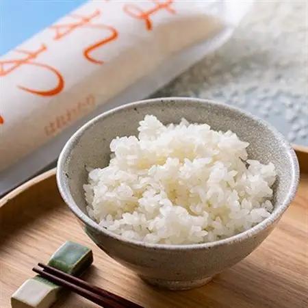 【令和7年産】はれわたり　精米 20kg【1455903】
