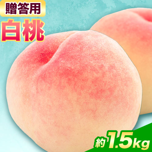 【令和7年度先行予約】贈答用 桃 内容量 1.5kg ハレノフルーツ （犬塚農園） 《2025年6月末-8月中旬頃出荷》岡山県 浅口市 フルーツ モモ 果物 青果 旬 おかやま夢白桃 白麗 白鳳 清水白桃 なつごころ 加納岩白桃【配送不可地域あり】